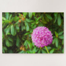 素晴らしい明るい赤紫色フラワーアットケウケンホフ，オランダ