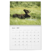 素晴らしい棚の壁掛けカレンダー カレンダー (3月 2027)