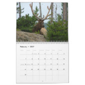 素晴らしい棚の壁掛けカレンダー カレンダー (2月 2027)
