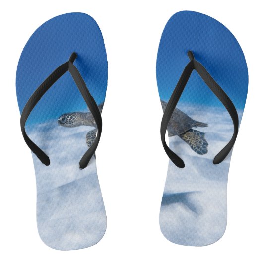 素晴らしい水中競技カメ ビーチサンダル (ソール)