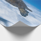 素晴らしい水中競技カメ ラッピングペーパー (角)