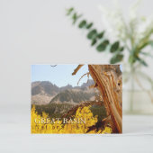 素晴らしい洗面器の国立公園 ポストカード (スタンド正面)