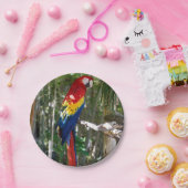 素晴らしい深紅のコンゴウインコのオウム ペーパープレート (パーティー)