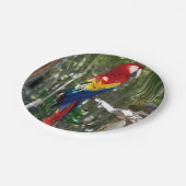 素晴らしい深紅のコンゴウインコのオウム ペーパープレート (アングル)
