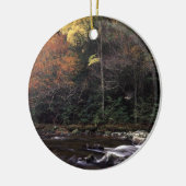 素晴らしい煙山の国立公園 セラミックオーナメント (左)