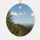 素晴らしい煙山ヴィスタ3 セラミックオーナメント (左)