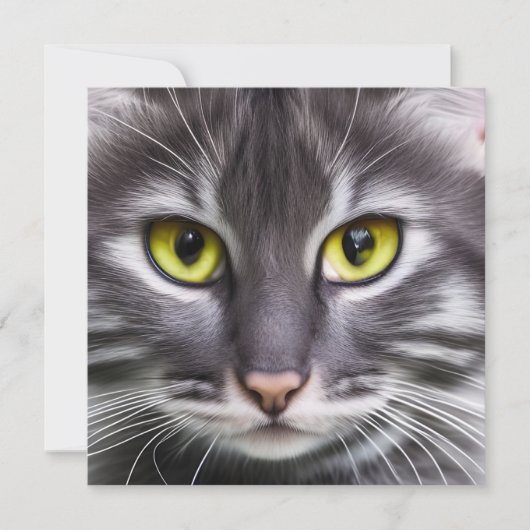 素晴らしい猫の肖像画 (正面)