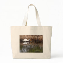 素晴らしい白鷺1