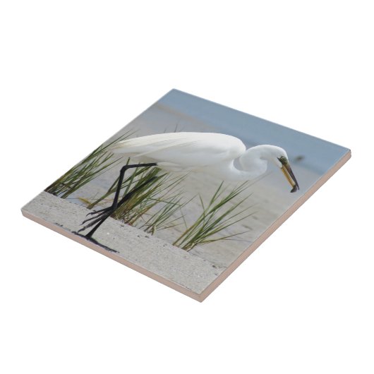 素晴らしい白鷺 タイル (側面)