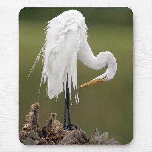 素晴らしい白鷺 マウスパッド (正面)