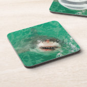 素晴らしい白Shark1 コースター (左側)