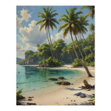 素晴らしい秘密のダイビングスポット