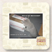 素晴らしい箱 コースター (正面)