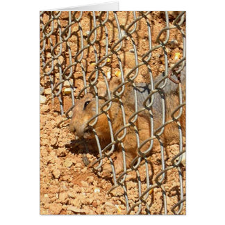 素晴らしい脱出