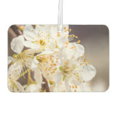 素晴らしい花エアフレッシュナー カーエアーフレッシュナー (裏面)