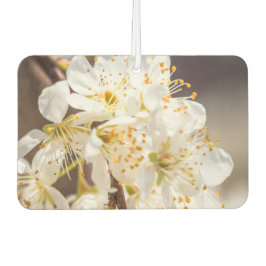 素晴らしい花エアフレッシュナー カーエアーフレッシュナー