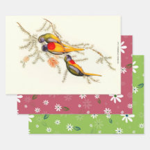 素晴らしい草のインコ、贈り物