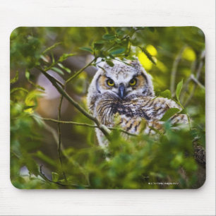 素晴らしい角状のOwlet マウスパッド
