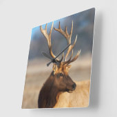 素晴らしい雄牛のオオシカのポートレート スクエア壁時計 (傾斜)