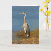 素晴らしい青鷲のブランクのノートまたは挨拶状 カード (黄色い花)