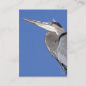 素晴らしい青鷲のプロフィールカード 名刺 (裏面)