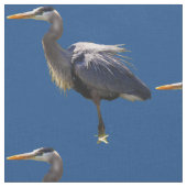 素晴らしい青鷲の生地 ファブリック (クローズアップ)