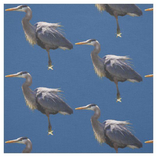 素晴らしい青鷲の生地 ファブリック (見本)