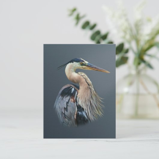 素晴らしい青鷲の郵便はがき ポストカード (スタンド正面)