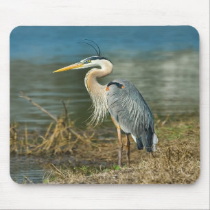 素晴らしい青鷲の鳥のマウスパッド マウスパッド