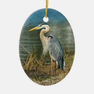 素晴らしい青鷲の鳥の野性生物のオーナメント セラミックオーナメント