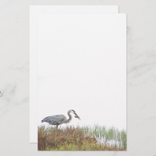 素晴らしい青鷲の鳥の野性生物動物 便箋 (正面/裏面)