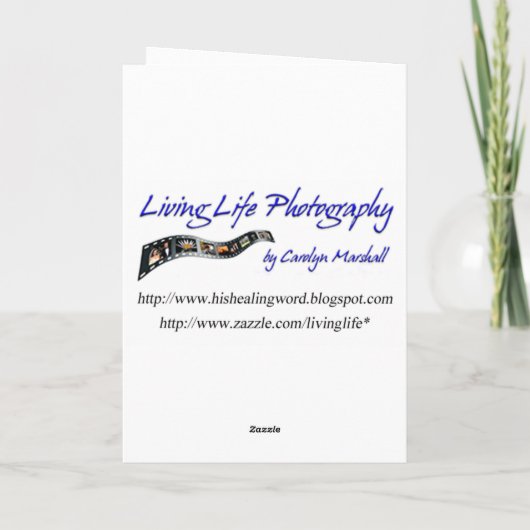 素晴らしい青鷲 カード (裏面)