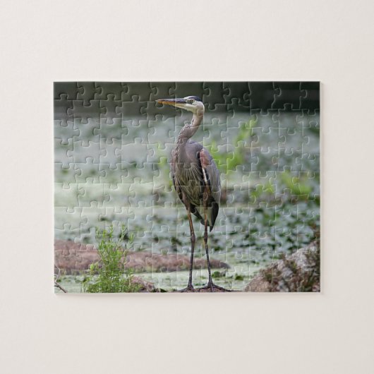 素晴らしい青鷲 ジグソーパズル (横)