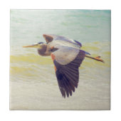 素晴らしい青鷲 タイル (正面)