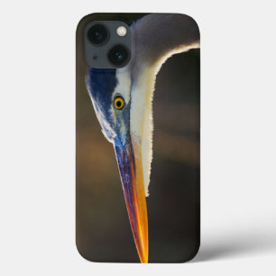 素晴らしい青鷲、ポートレートの上の終わり iPhone 13ケース