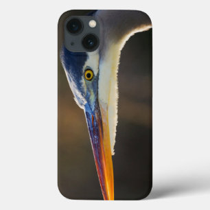 素晴らしい青鷲、ポートレートの上の終わり iPhone 13ケース