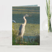 素晴らしい青 カード (正面)