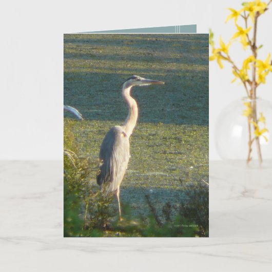 素晴らしい青 カード (黄色い花)