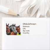 素晴らしい馬のステリオン写真 ラベル (インサイチュ)