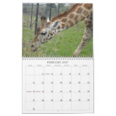 素晴らしい鳥と動物2012 カレンダー (2月 2027)