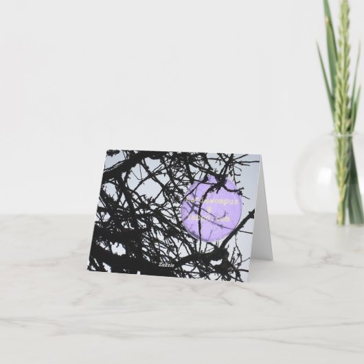 素晴らしい!! カード (裏面)