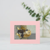 素晴らしい ポストカード (スタンド正面)