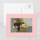 素晴らしい ポストカード (正面/裏面)