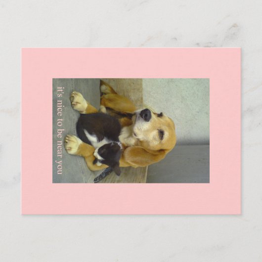 素晴らしい ポストカード (正面)