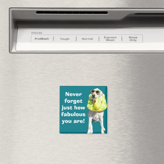 素晴らしい マグネット (インサイチュ (食洗機))