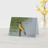 素晴らしいKiskadee カード (黄色い花)