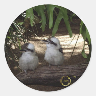 素晴らしいKookaburras ラウンドシール