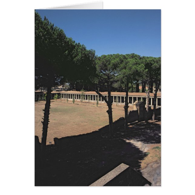 素晴らしいPalaestra (正面)