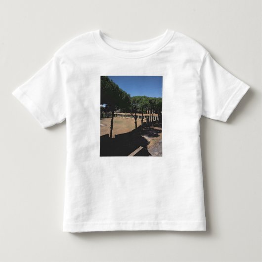 素晴らしいPalaestra トドラーTシャツ (正面)