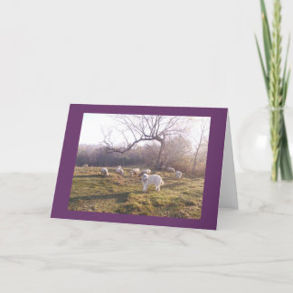 素晴らしいPyrおよび群 カード